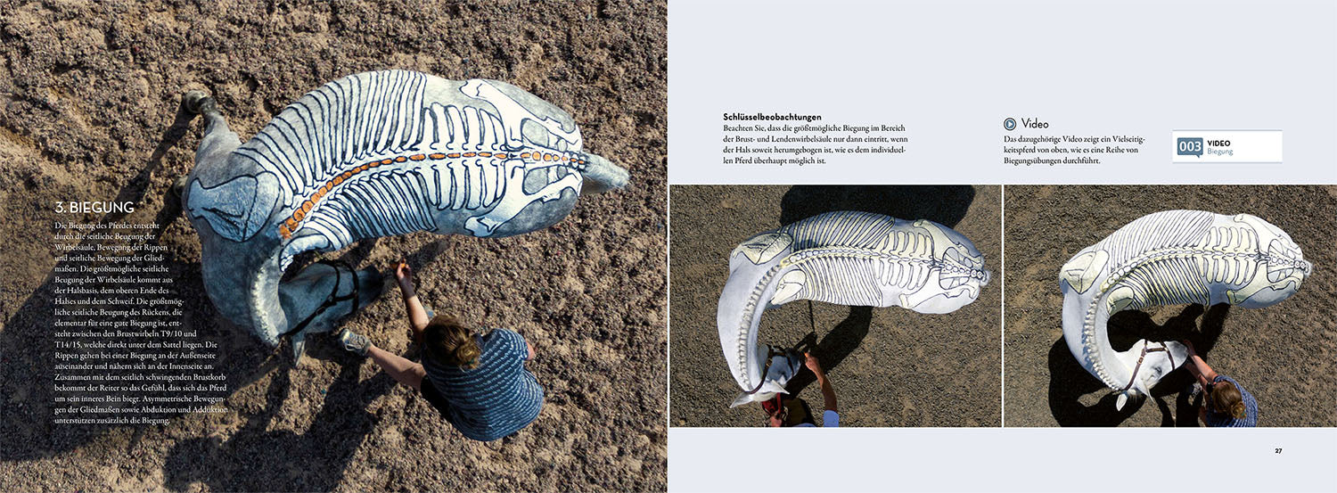 kosmos-anatomie-in-bewegung-pferdebuch-biomechanik-gangarten image 4