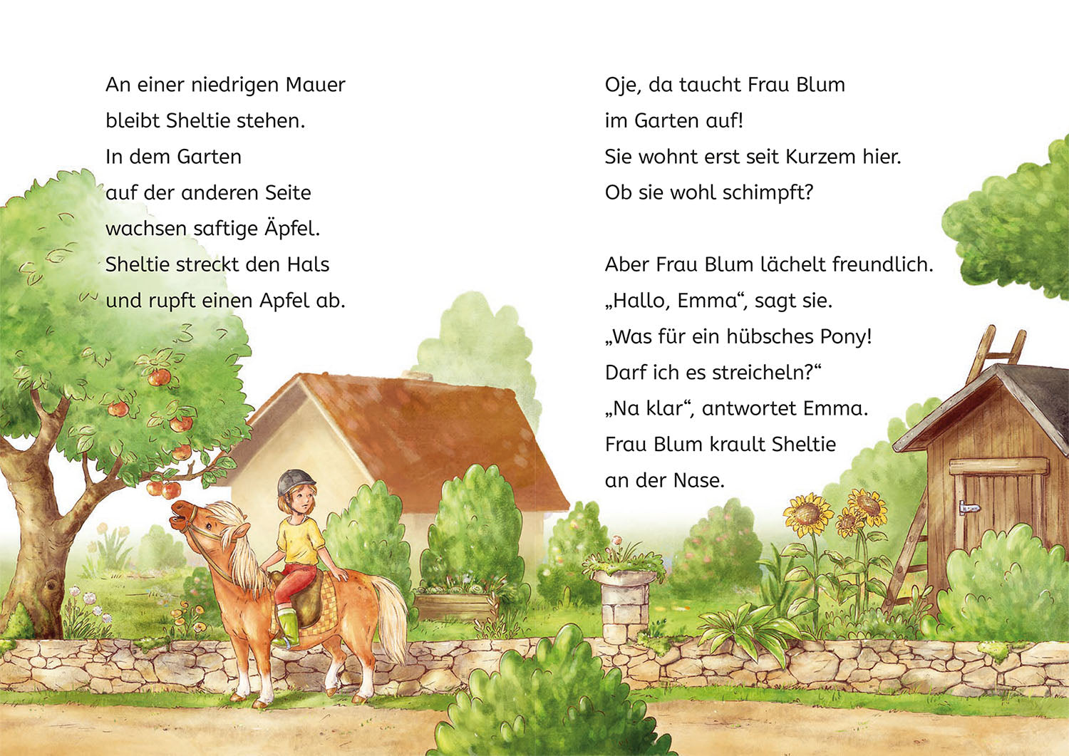 kosmos-sheltie-und-die-katzenbabys-b-cherhelden-1-klasse-buch image 4
