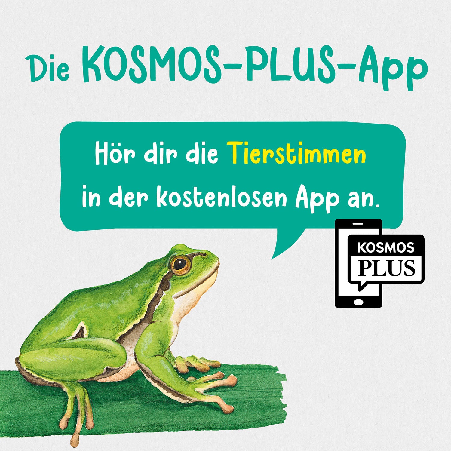 kosmos-was-lebt-im-wald-kindernaturf-hrer-tiere-pflanzen image 7