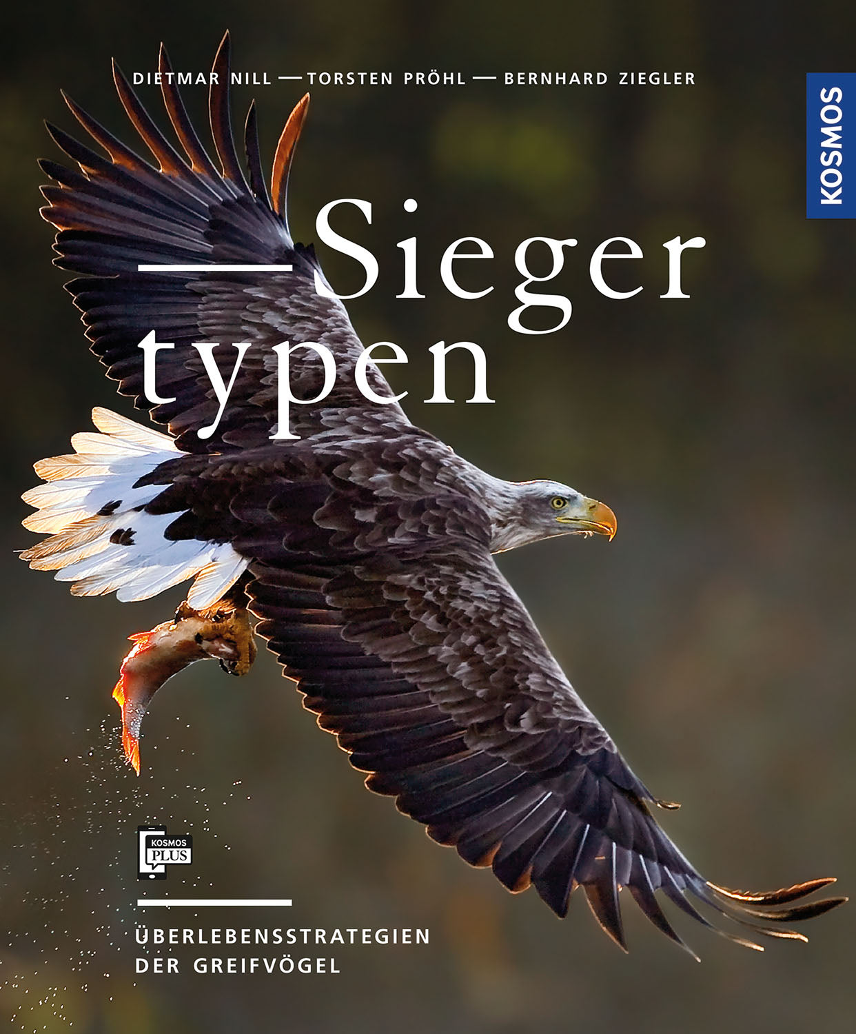 siegertypen-greifv-gel-bildband-ebook-vogelfotos image 1