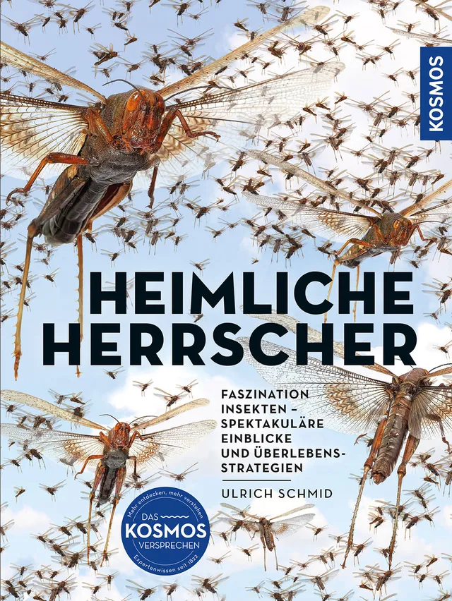 kosmos-insekten-heimliche-herrscher-buch-natur-mit-bildern image 1