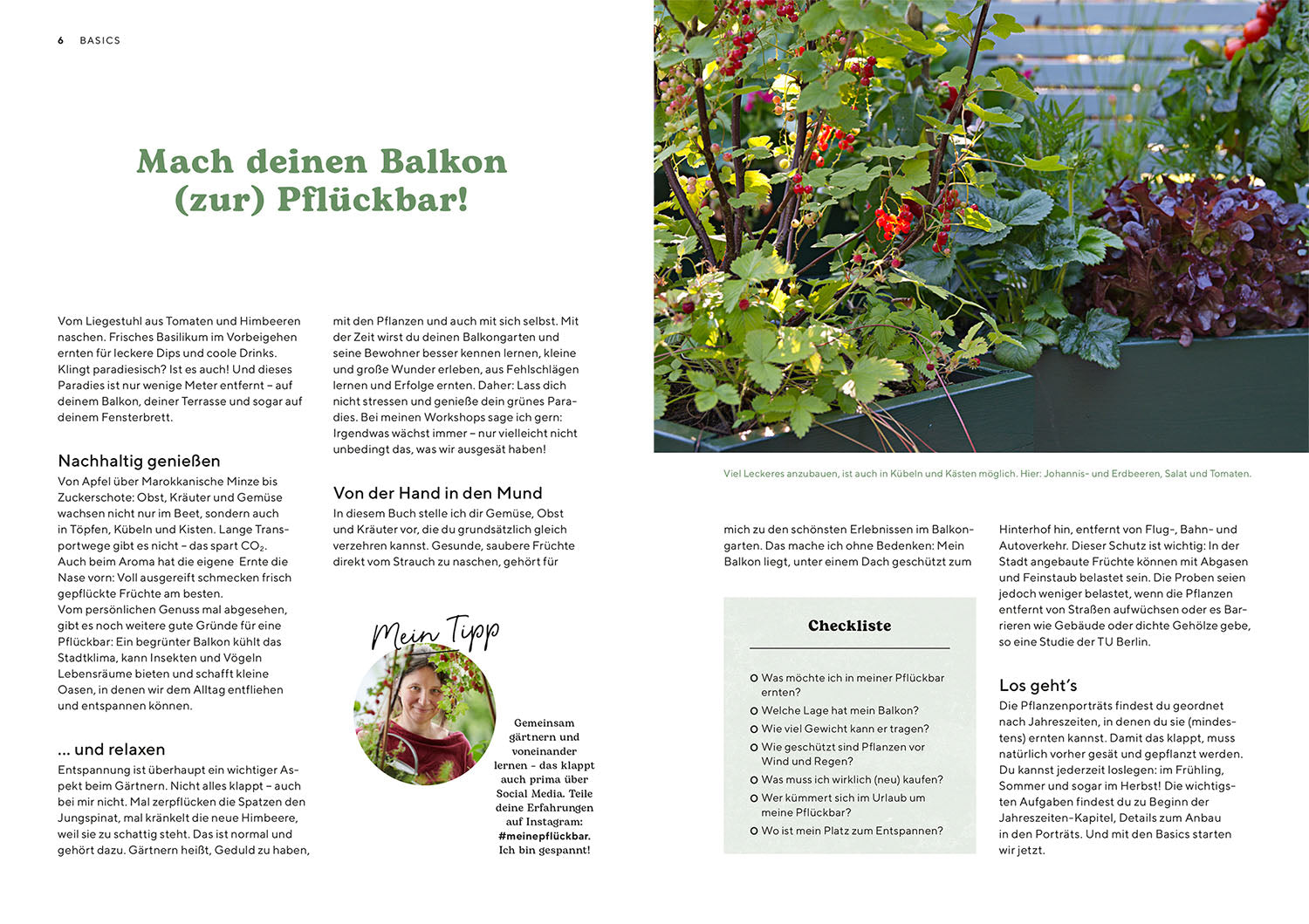 kosmos-pfl-ckbar-balkongarten-ratgeber-gem-se-ohne-garten image 3