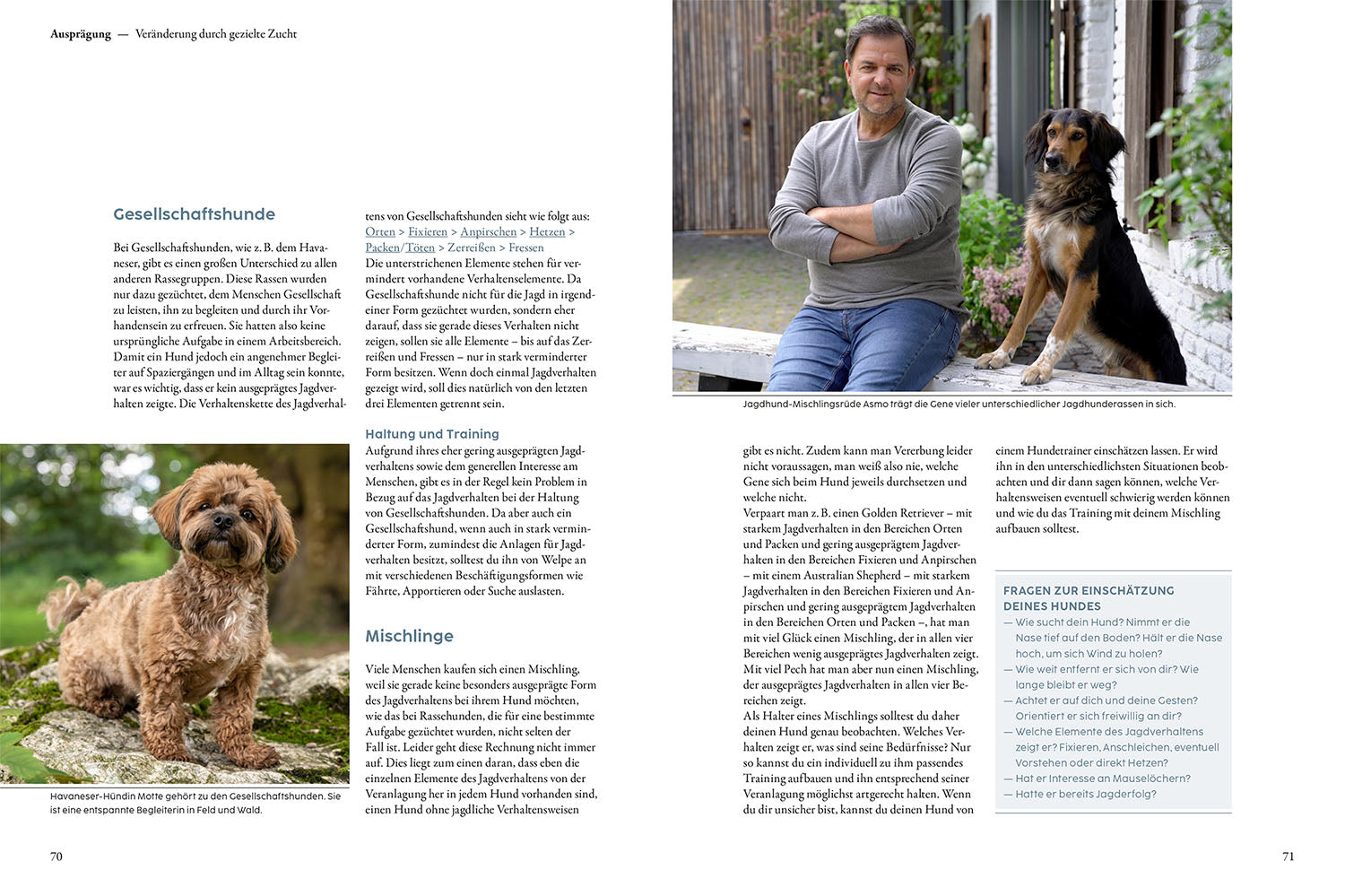 kosmos-jagdverhalten-bei-hunden-martin-r-tter-buch image 4