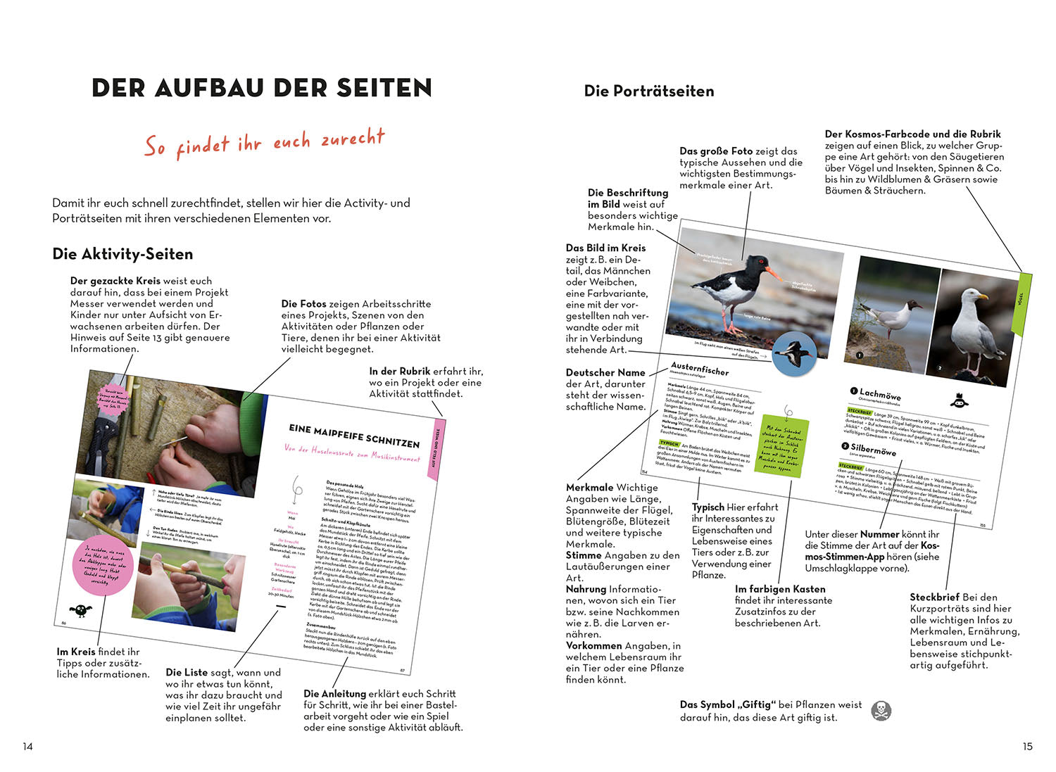 kosmos-familien-naturf-hrer-bestimmungsbuch-tiere-pflanzen image 4