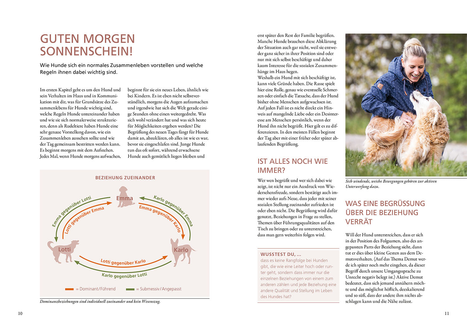 kosmos-hunde-lesen-lernen-buch-maren-grote-ratgeber image 3