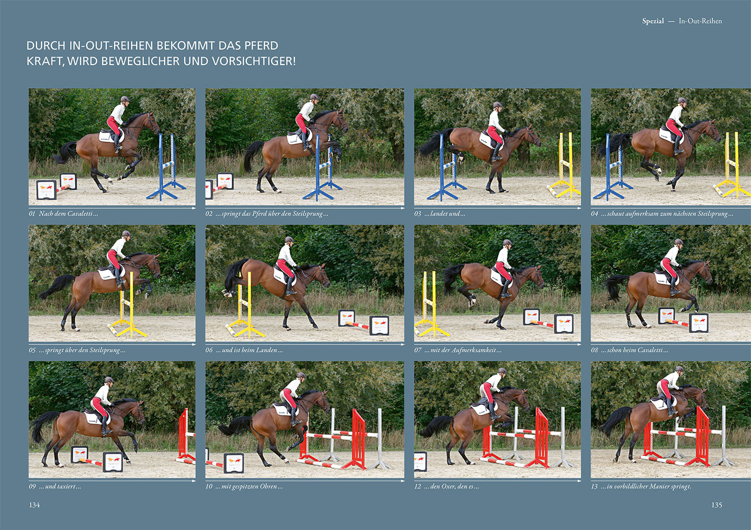 kosmos-cavaletti-buch-ingrid-klimke-pferdetraining image 6