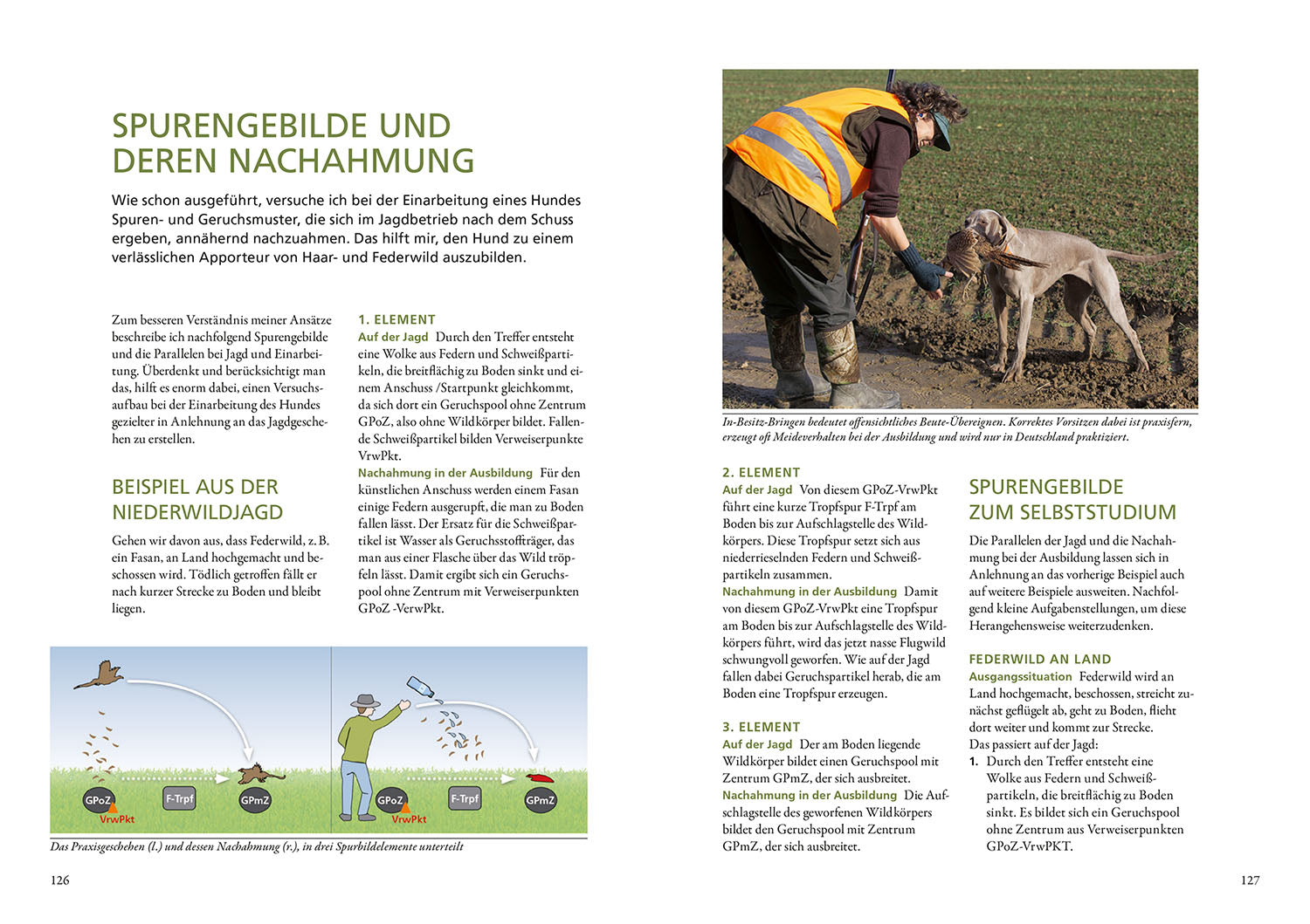 kosmos-die-ausbildung-des-jagdhundes-buch-jagdhund-welpe-junghund image 6