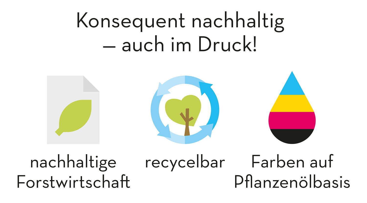 kosmos-wer-kann-mit-wem-im-beet-mischkultur-gartenbuch image 7