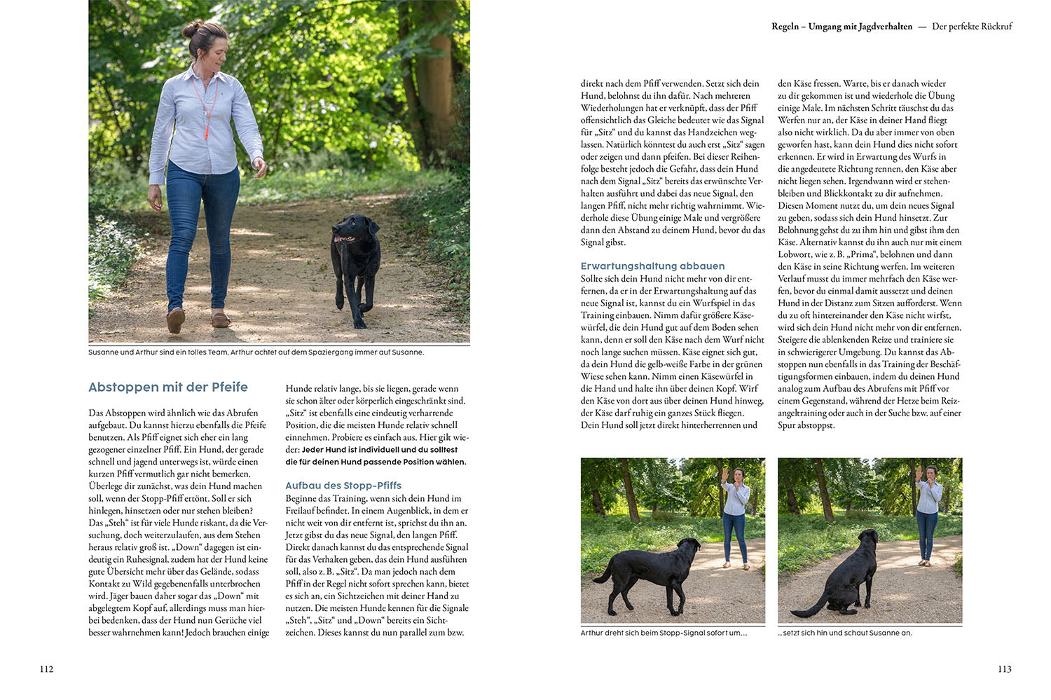 kosmos-jagdverhalten-bei-hunden-martin-r-tter-buch image 5