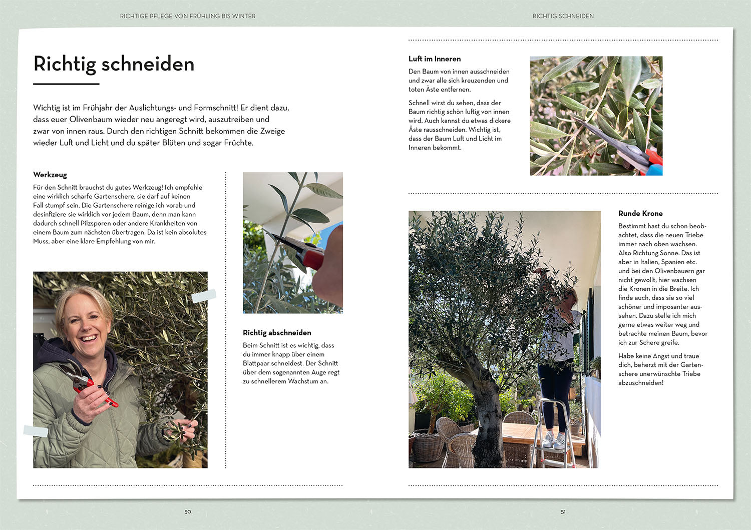 kosmos-olivenbaum-ganz-einfach-buch-garten-ratgeber-pflege image 5