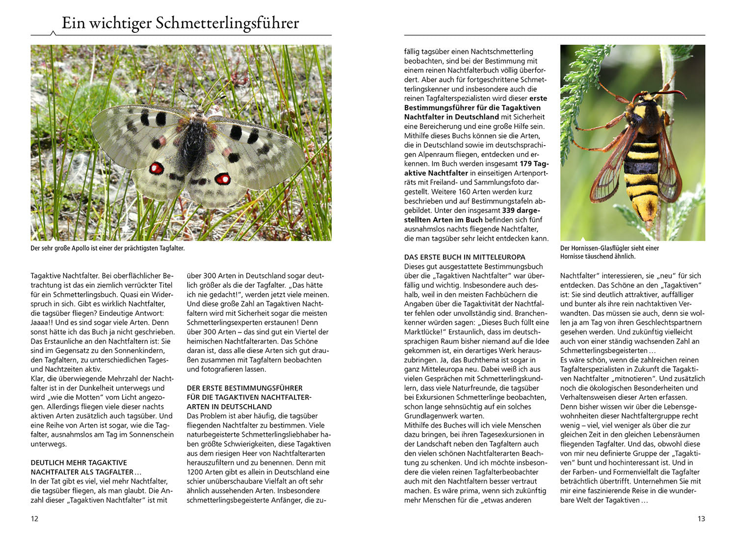 kosmos-tagaktive-nachtfalter-naturf-hrer-buch-330-arten-bestimmen image 3