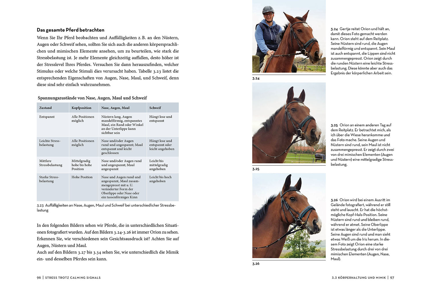 kosmos-calming-signals-pferd-ratgeber-beschwichtigungssignale image 5