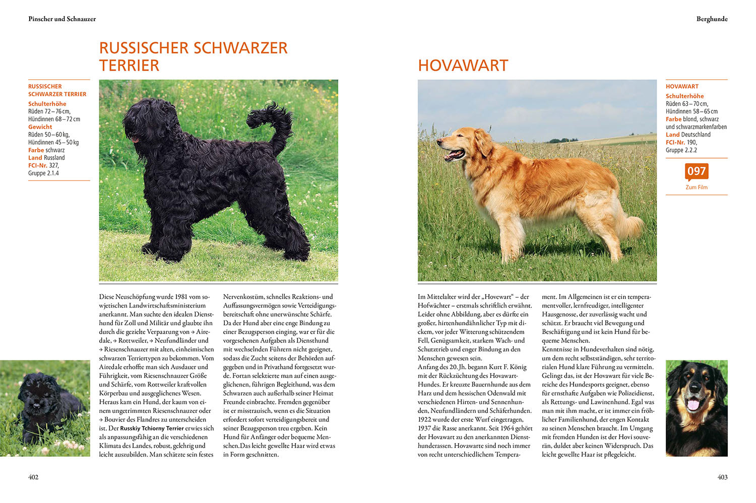 kosmos-hundef-hrer-buch-350-fci-hunderassen-portr-ts image 6