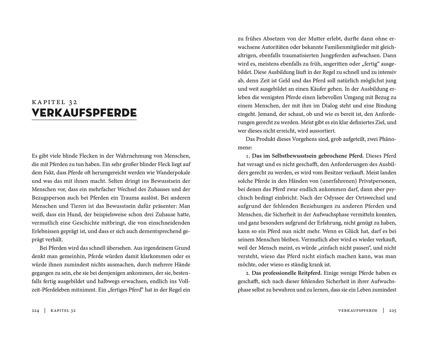 wahre-freundschaft-mit-pferden-catherin-seib-pferdebuch image 6