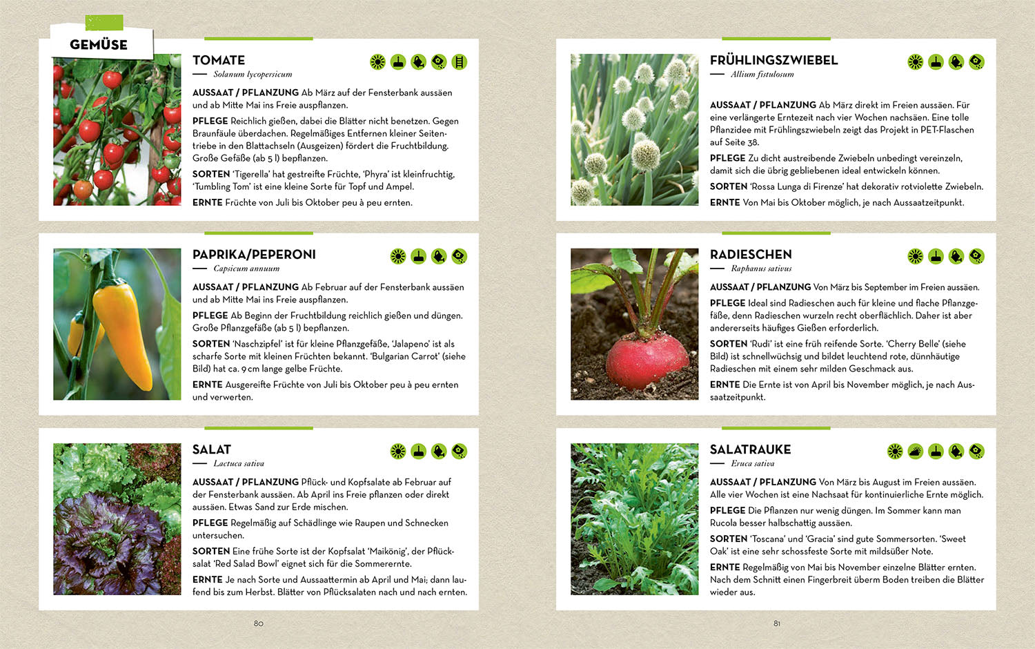 vertikal-g-rtnern-ratgeber-f-r-balkon-und-garten image 6