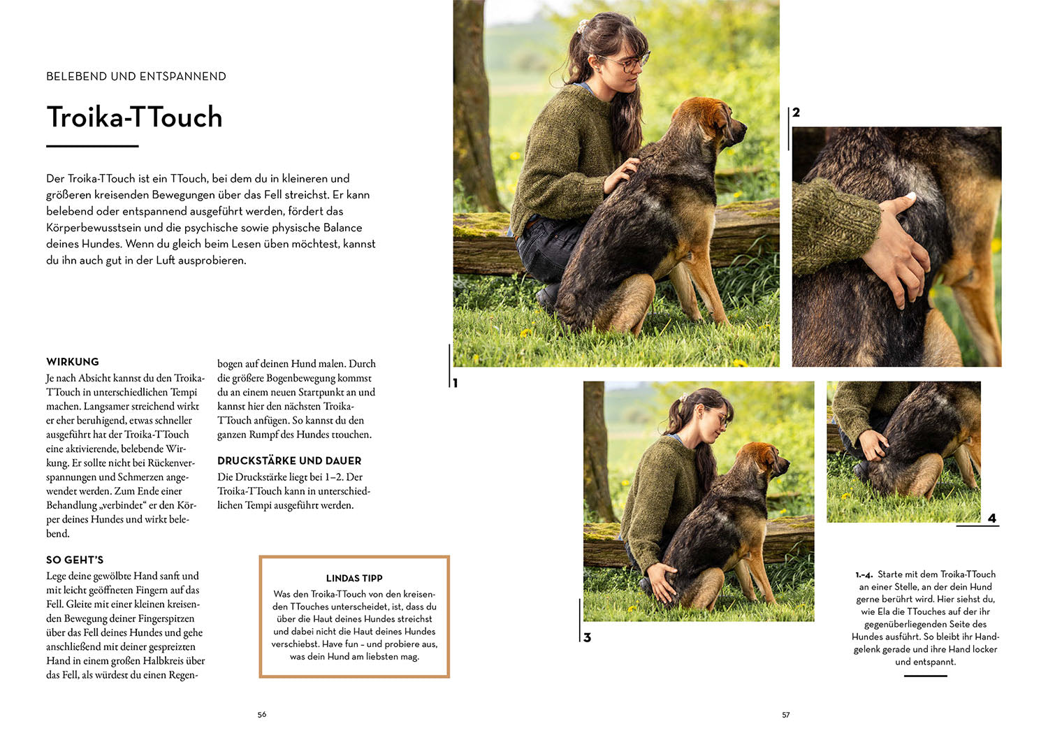 kosmos-tellington-training-f-r-hunde-ratgeber-buch-ttouches image 4