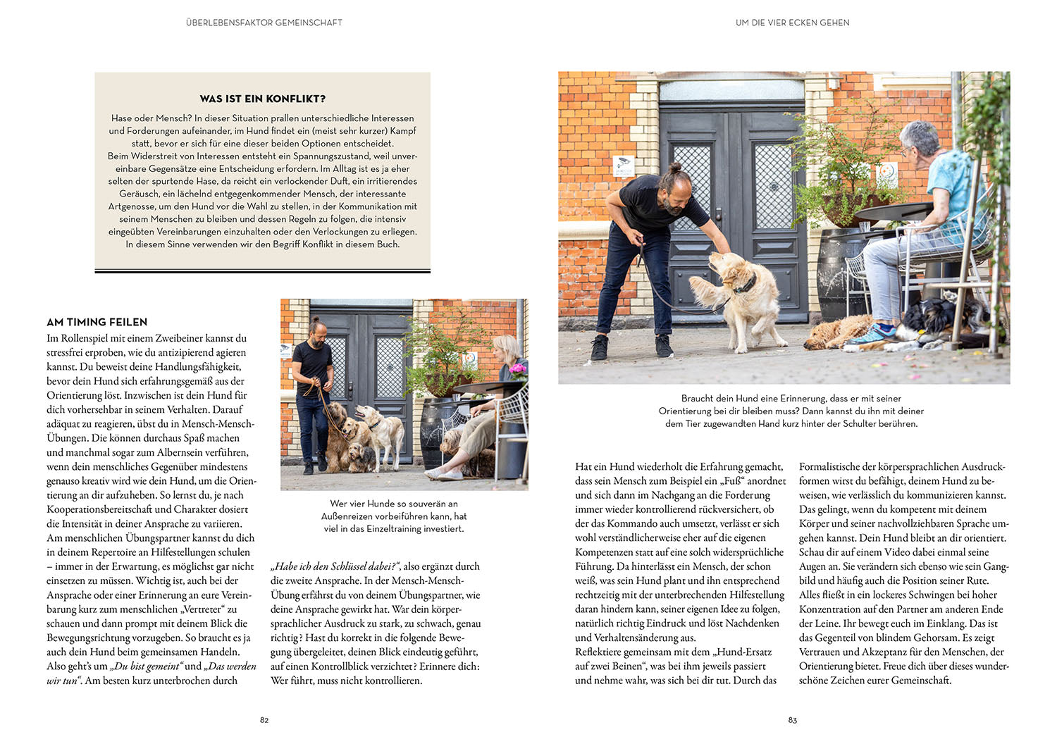 leinenf-hrigkeit-sami-el-ayachi-buch-hundetraining image 5
