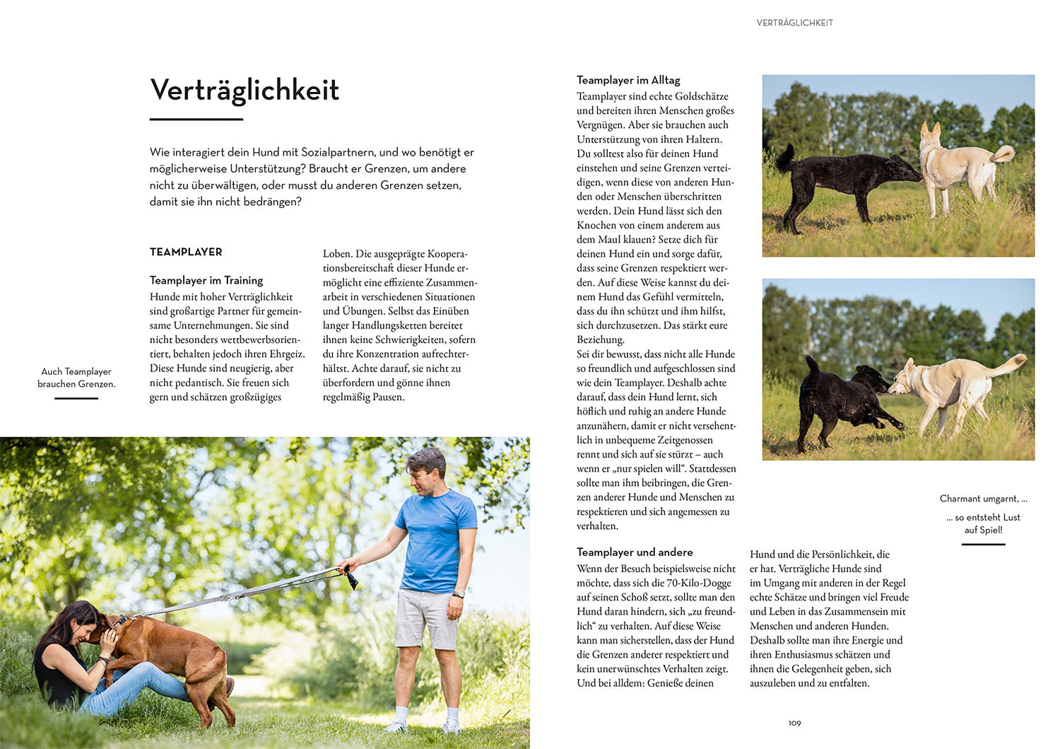 kosmos-pers-nlichkeitsanalyse-f-r-hunde-ratgeber-big-five image 5
