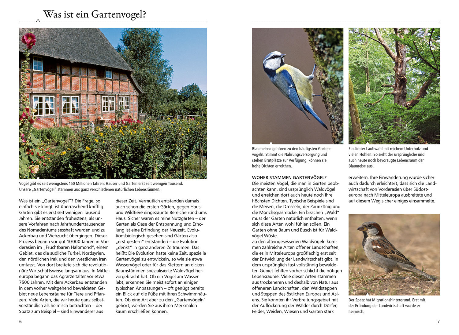 welcher-gartenvogel-ist-das-kosmos-vogelbuch-mit-100-arten-nabu image 3