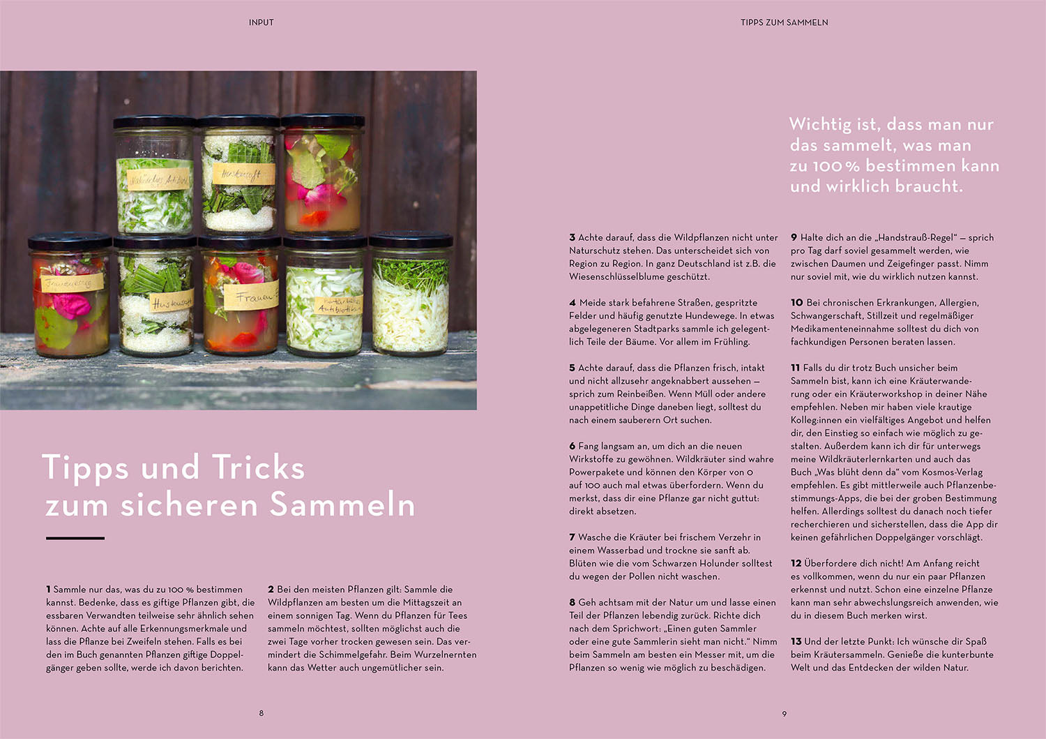 wild-durchs-jahr-isabel-fischer-wildkr-uter-buch-rezepte image 3
