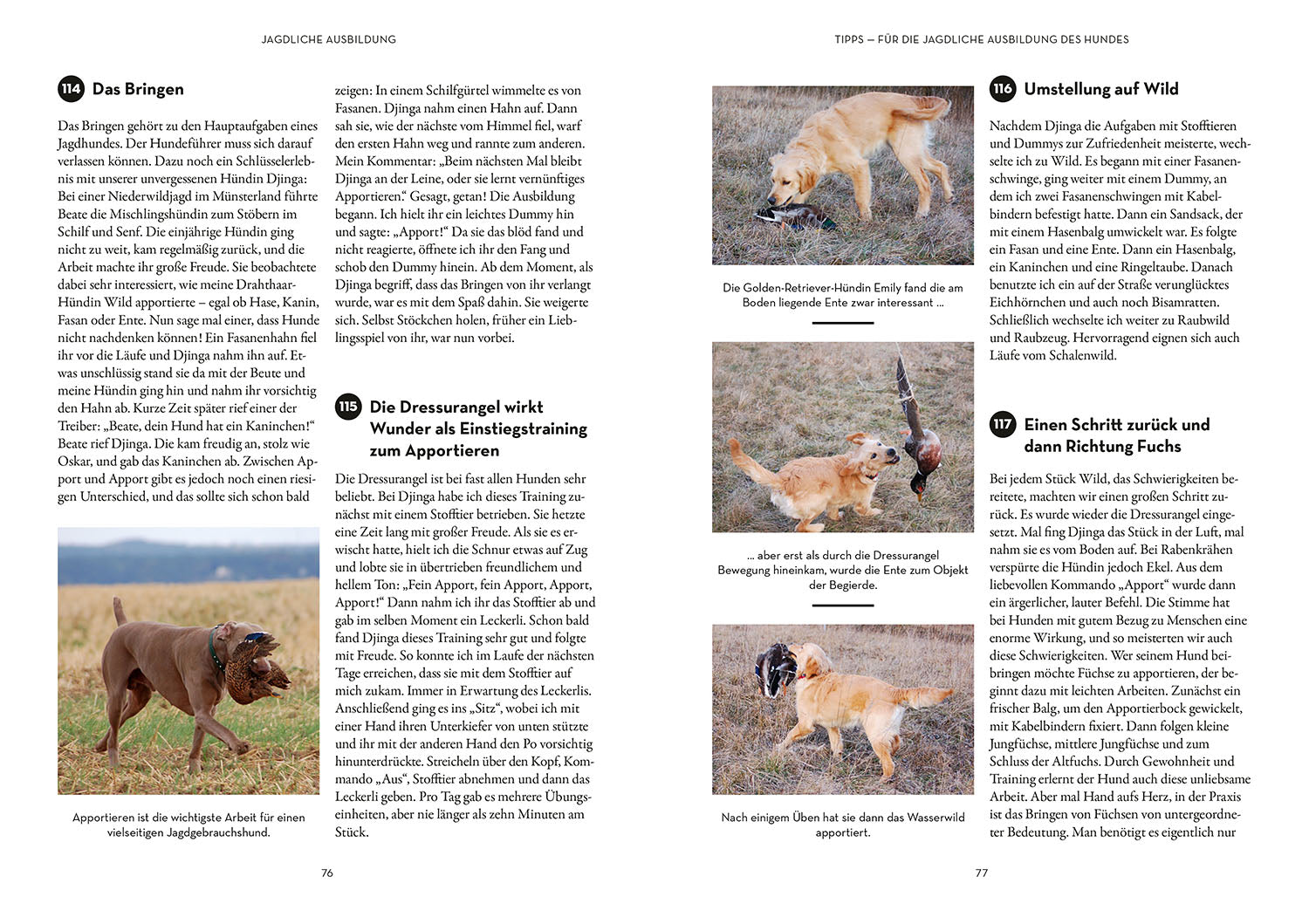 adventure-games-b-cher-tipps-tricks-f-r-hundef-hrer-ratgeber-hund image 5
