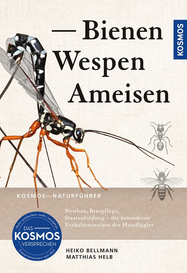 die-zauberkicker-bienen-wespen-ameisen-naturf-hrer-buch image 1