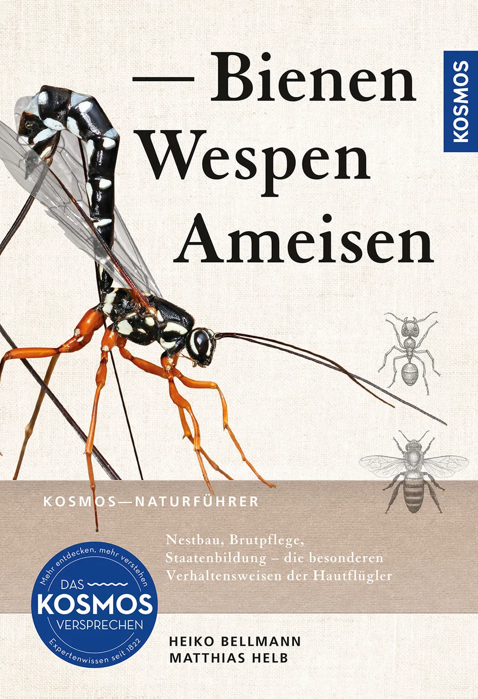 kosmos-bienen-wespen-ameisen-buch-130-arten image 1