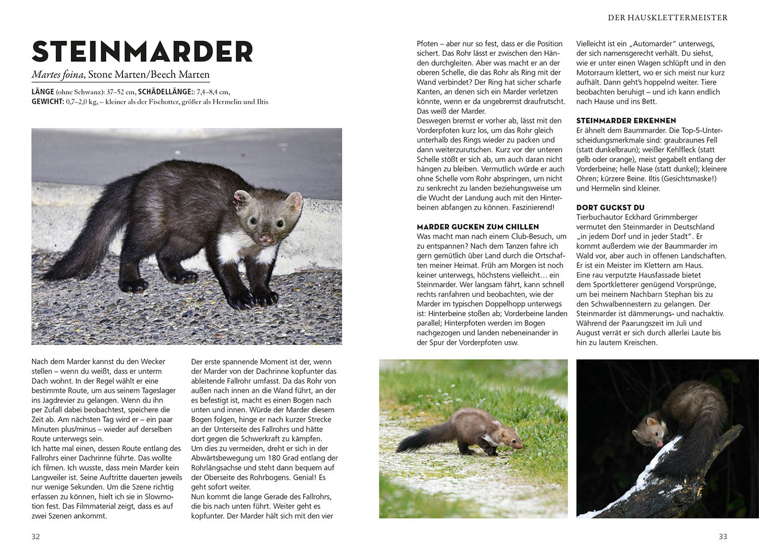 kosmos-die-siehst-du-naturf-hrer-s-ugetiere-buch image 4