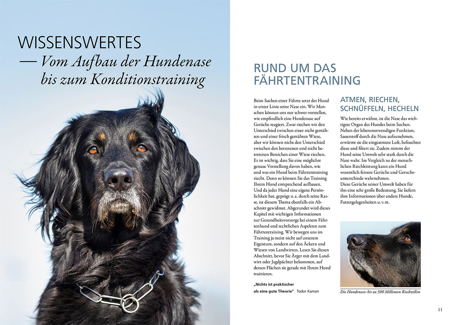 kosmos-trainingsbuch-f-hrtenarbeit-buch-hundesport-motivation image 3