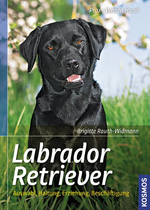 kosmos-labrador-retriever-ebook-hunde-ratgeber-brigitte-rauth-widmann image 1