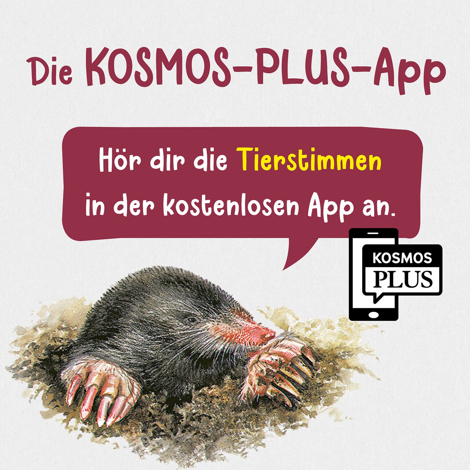 kosmos-was-lebt-im-garten-kindernaturf-hrer-tiere-pflanzen-garten image 7