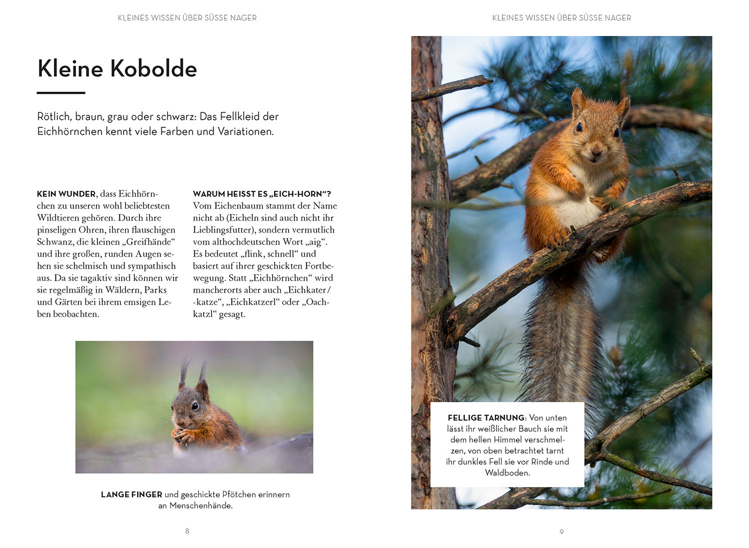 kosmos-mach-was-f-r-eichh-rnchen-naturbuch-garten-nothilfe-jungtiere image 3
