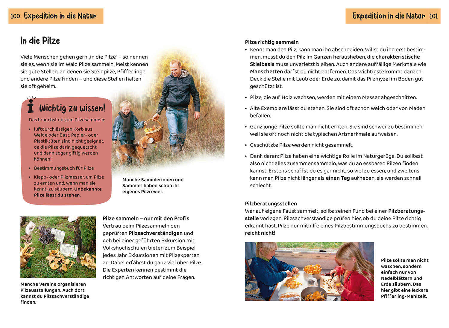 kosmos-welcher-pilz-ist-das-kindernaturf-hrer-pilze-bestimmen image 6