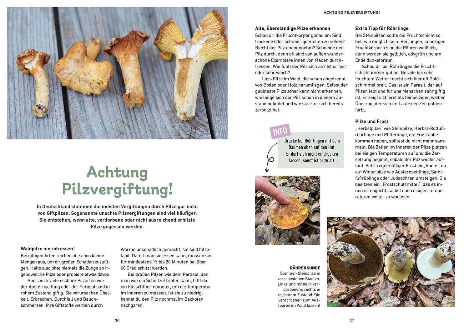 kosmos-pilzbuch-f-r-kids-familienbuch-pilze-wald image 3