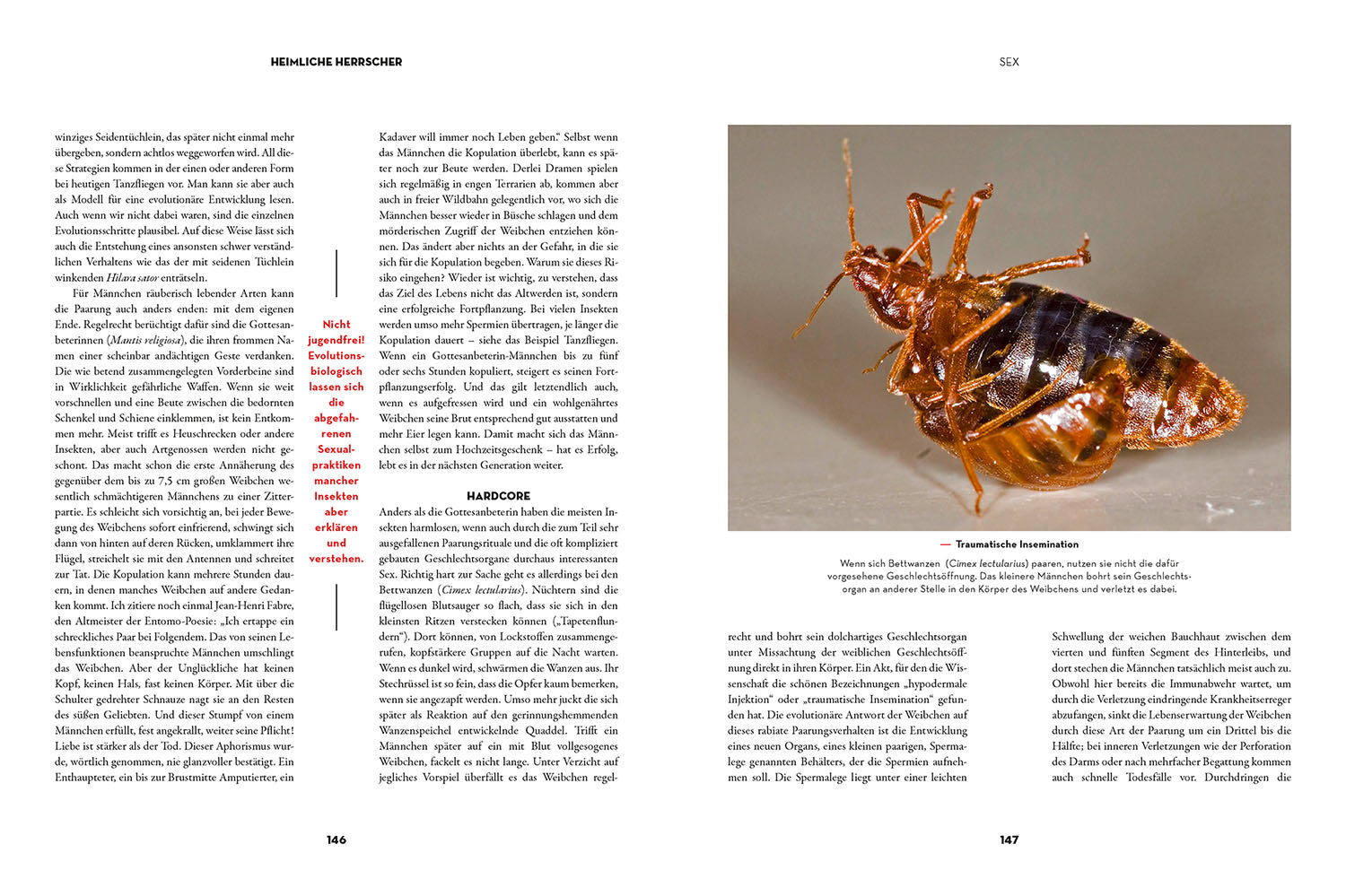 kosmos-insekten-heimliche-herrscher-buch-natur-mit-bildern image 5