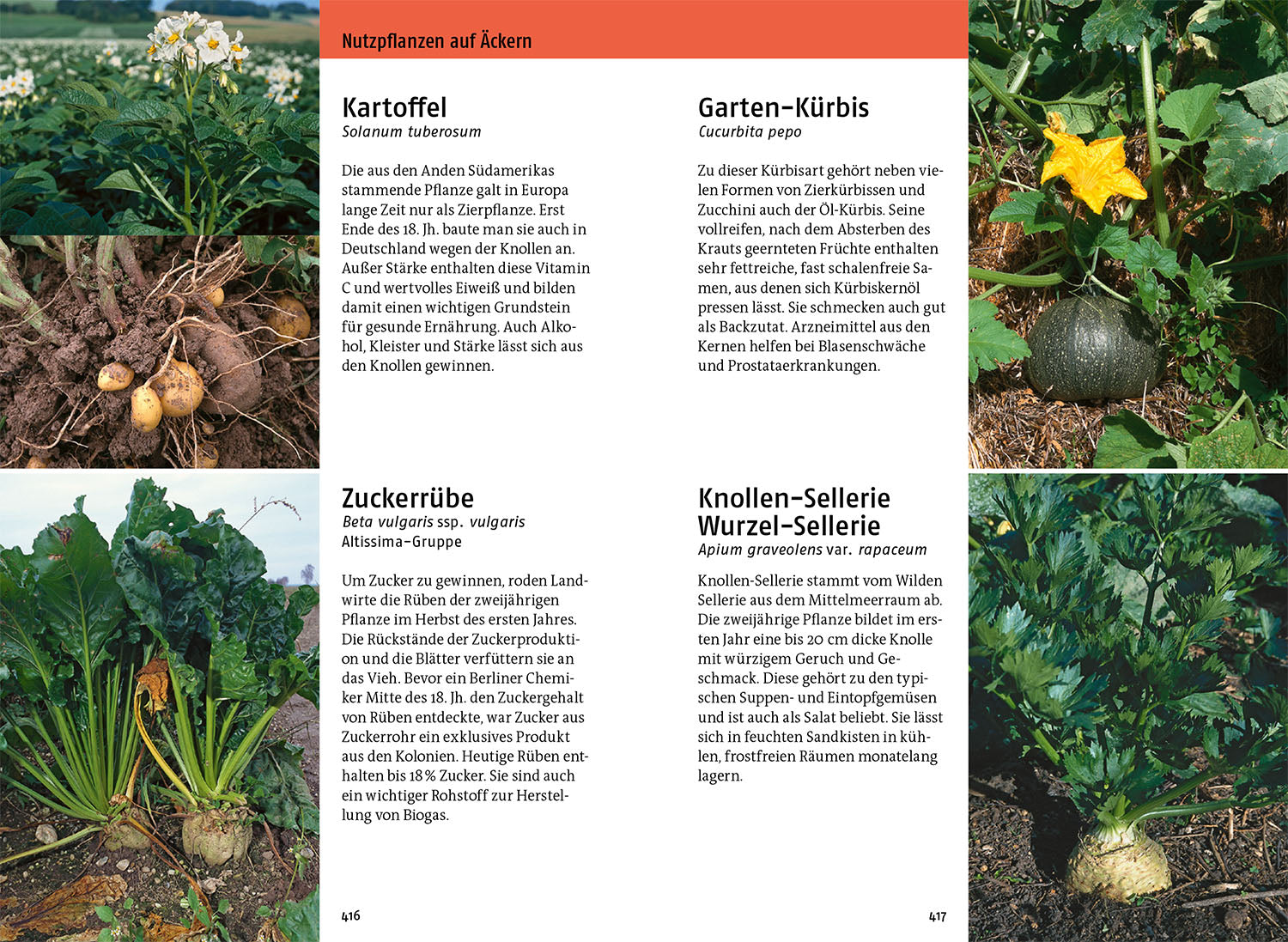 kosmos-was-bl-ht-denn-da-fotoband-blumenbuch-app image 5