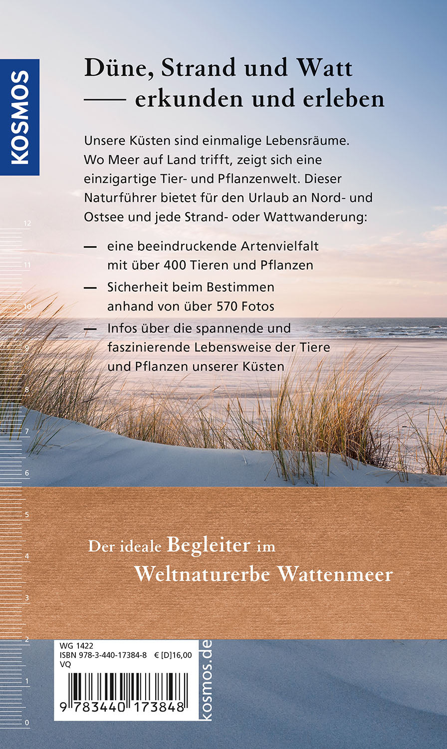 kosmos-d-ne-strand-und-watt-naturf-hrer-400-arten image 2
