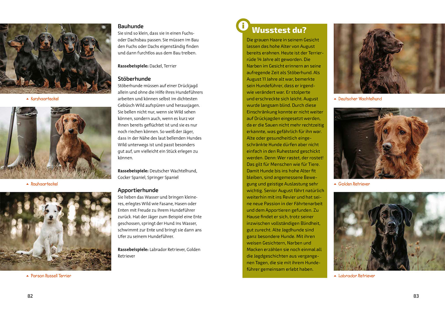 kosmos-das-jagdbuch-f-r-kids-kinderbuch-jagd-2 image 6