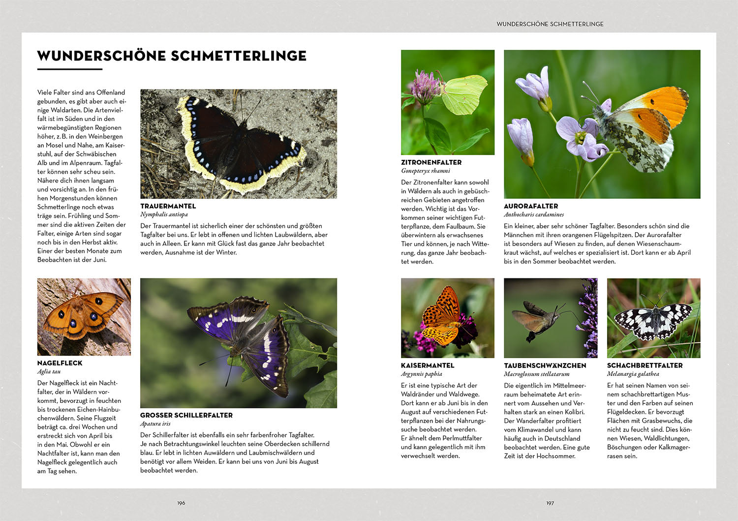 kosmos-tiere-beobachten-mit-dem-wildtierguide-buch image 6