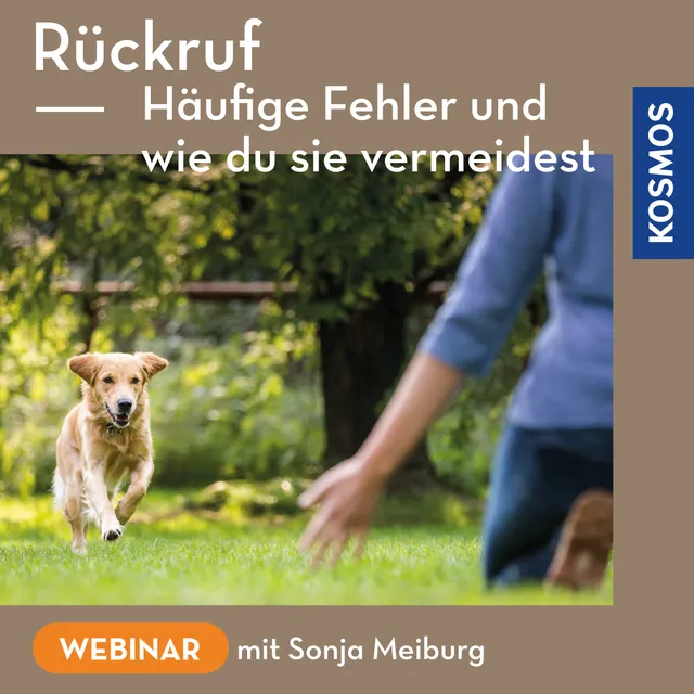 kosmos-r-ckruf-fehler-vermeiden-webinar-live-webinar-hund image 1
