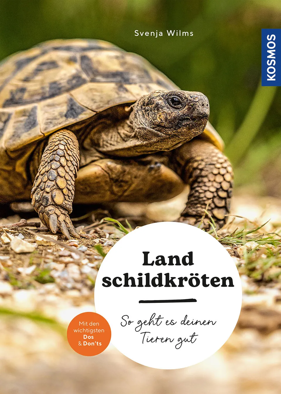 die-zauberkicker-landschildkr-ten-ratgeber-freigehege-haltung image 1