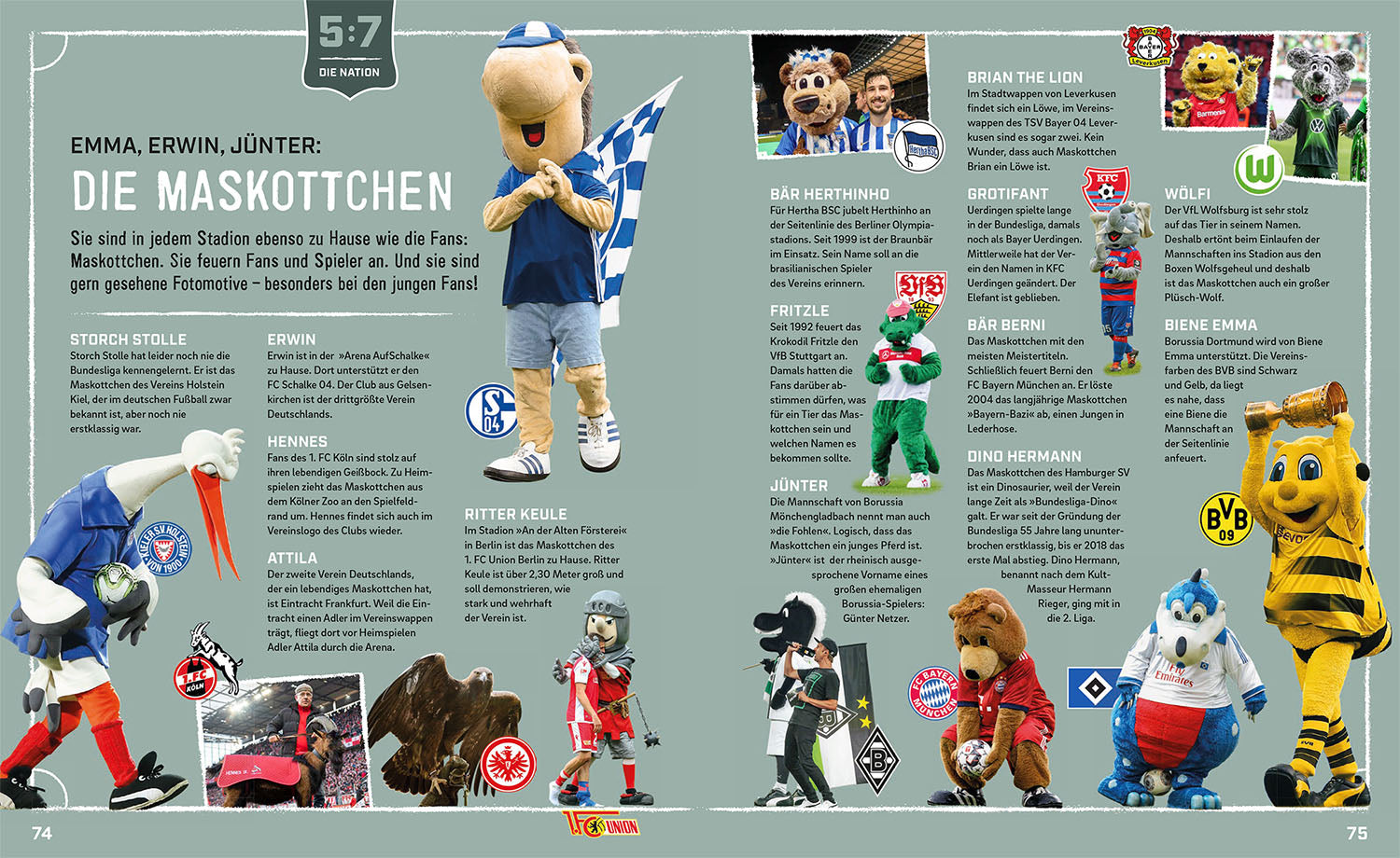 fu-ball-buch-f-r-kids-mit-regeln-bundesliga-11-kapitel image 5