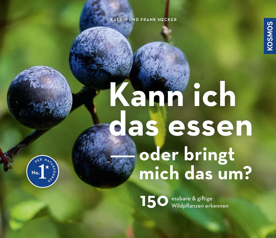 kann-ich-das-essen-oder-bringt-mich-das-um-ebook-wildpflanzen image 1