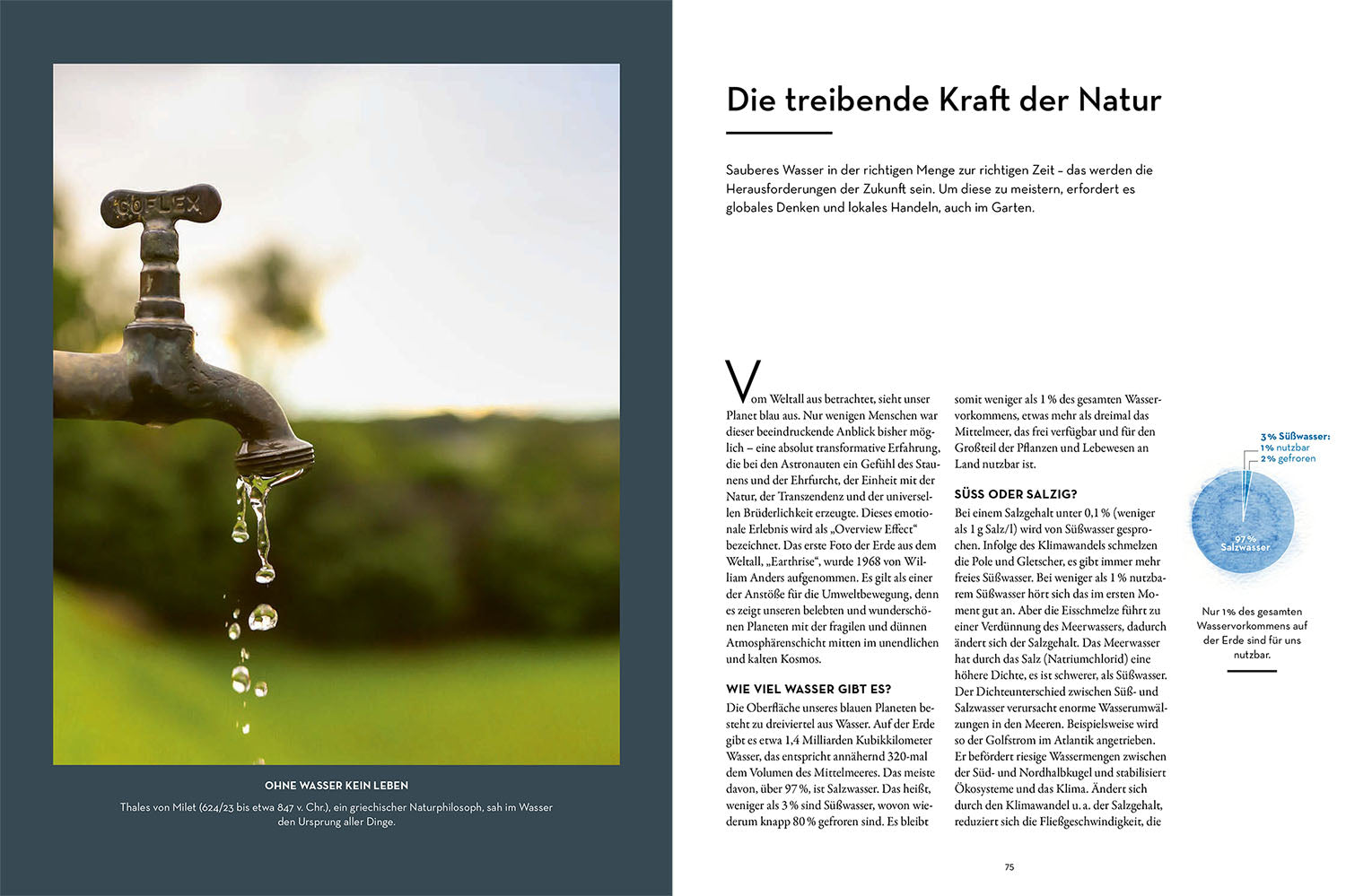 kosmos-wenn-nicht-jetzt-wann-dann-gartenbuch-nachhaltig image 6