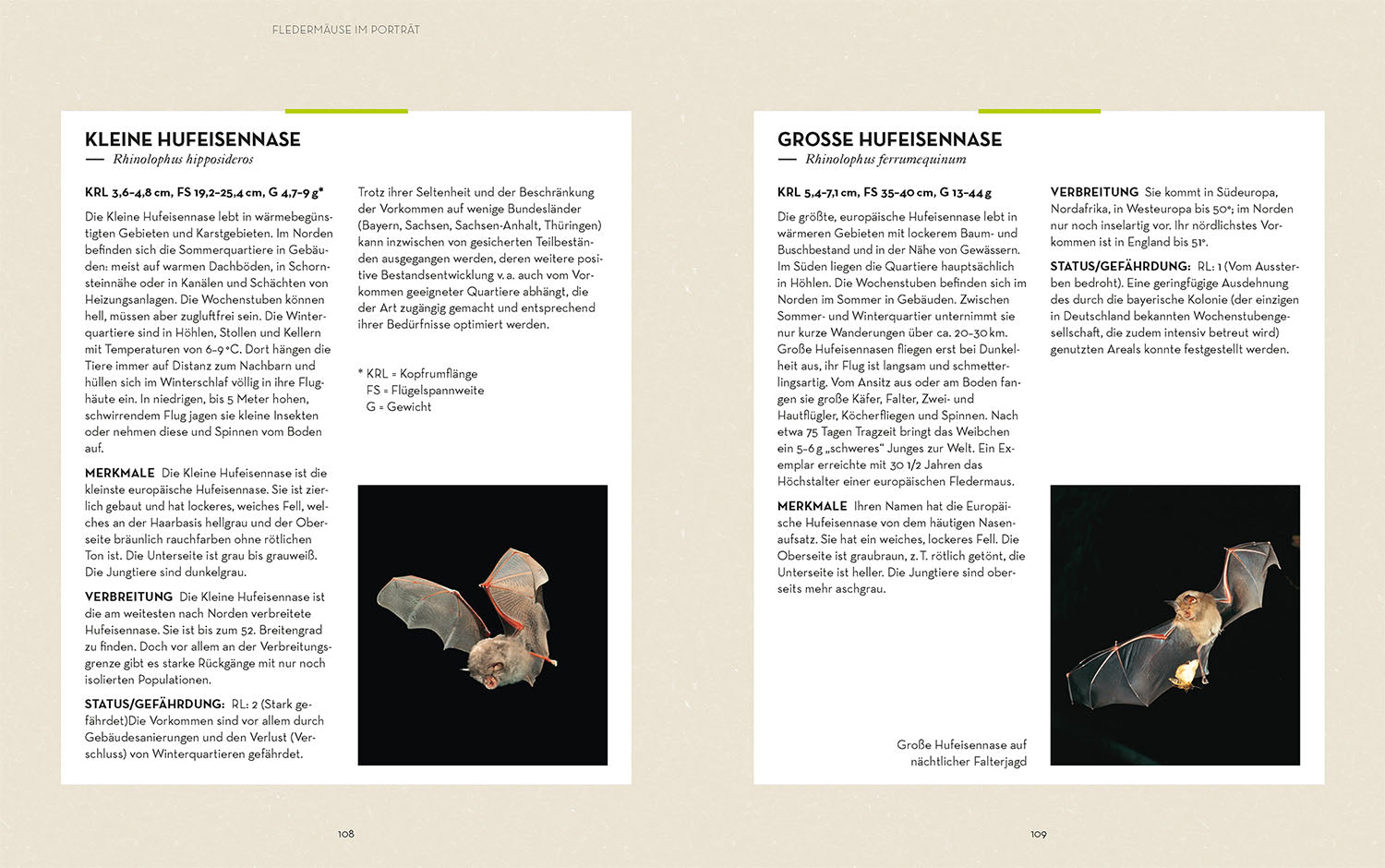 kosmos-flederm-use-buch-nachttiere-beobachten-und-sch-tzen image 6