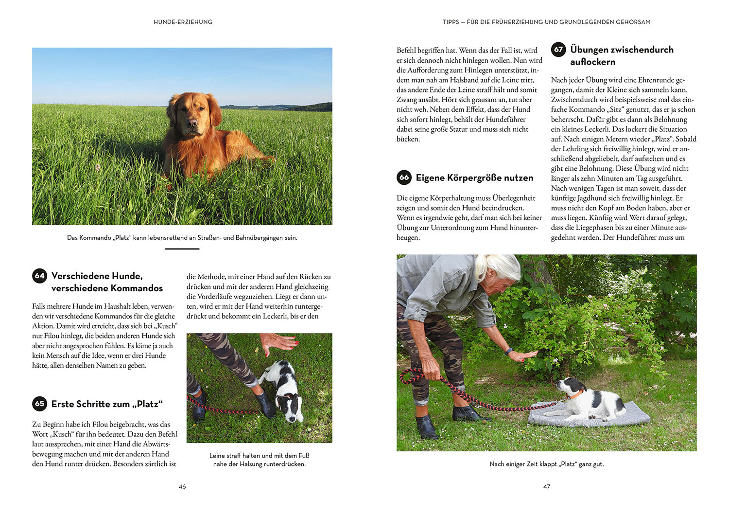 adventure-games-b-cher-tipps-tricks-f-r-hundef-hrer-ratgeber-hund image 4