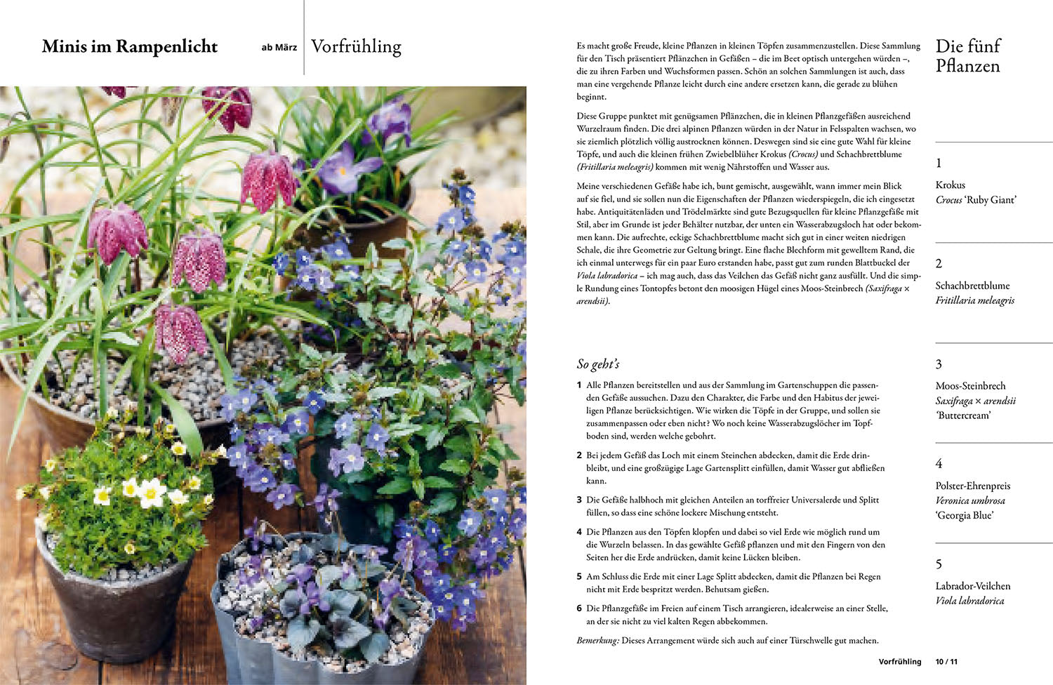 kosmos-einfach-gestalten-mit-5-pflanzen-gartenbuch-grow-5-2 image 3