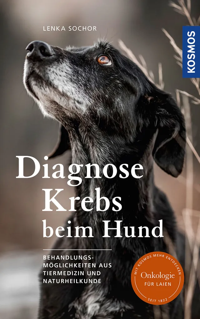 die-zauberkicker-diagnose-krebs-beim-hund-ratgeber-ebook-therapie image 1