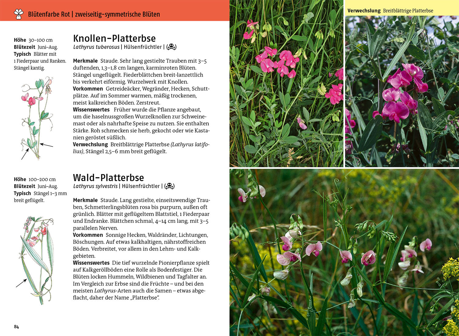 kosmos-was-bl-ht-denn-da-fotoband-blumenbuch-app image 3