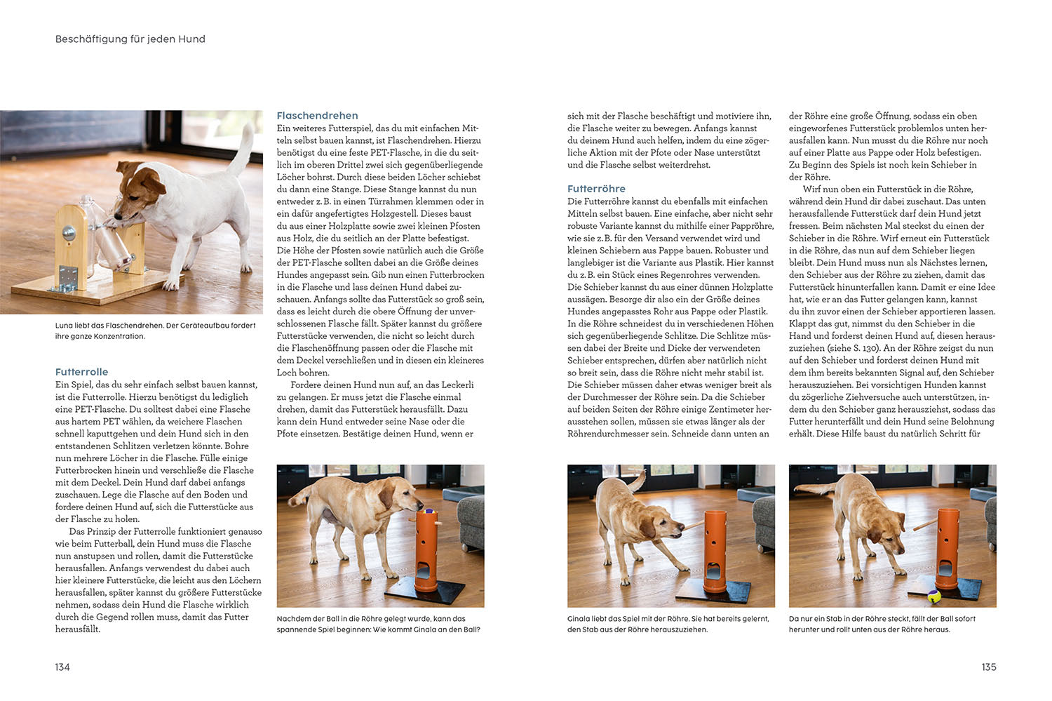 martin-r-tter-hunde-besch-ftigen-buch-hundespiele image 5